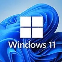 不忘初心 Windows 11 v22H2(22621.2134)纯净版