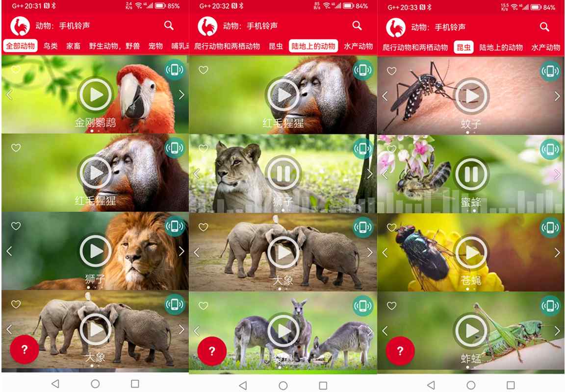 动物手机铃声v18.1去广告高级版/享受大自然的声音 第1张