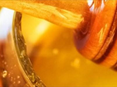 蜂蜜和什么茶一起喝好（蜂蜜和什么茶配合适）