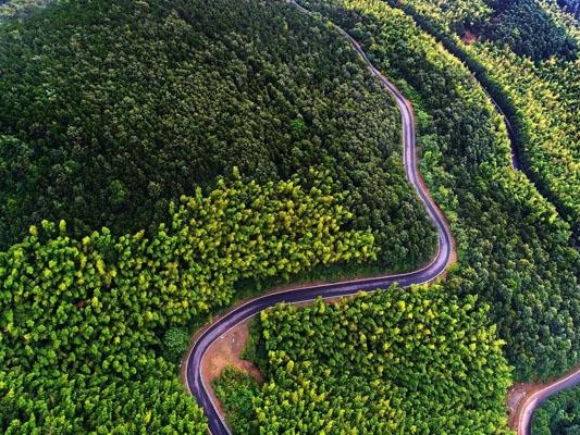 常州人少风景好的地方 小众旅游景点攻略（溧阳1号公路攻略）