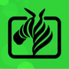 斑马视频APP(安卓影视软件)v5.8.3 去广告永久vip解锁破解版