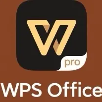 WPS Office Pro v13.37.6 永久专业版
