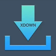 Xdown v2.0.9.5 (支持油管下载) 免费无广告多线程下载工具