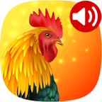 动物手机铃声v18.1去广告高级版/享受大自然的声音