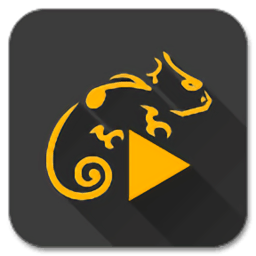 蜥蜴音乐播放器(Stellio Player)v6.10.0去广告解锁高级版