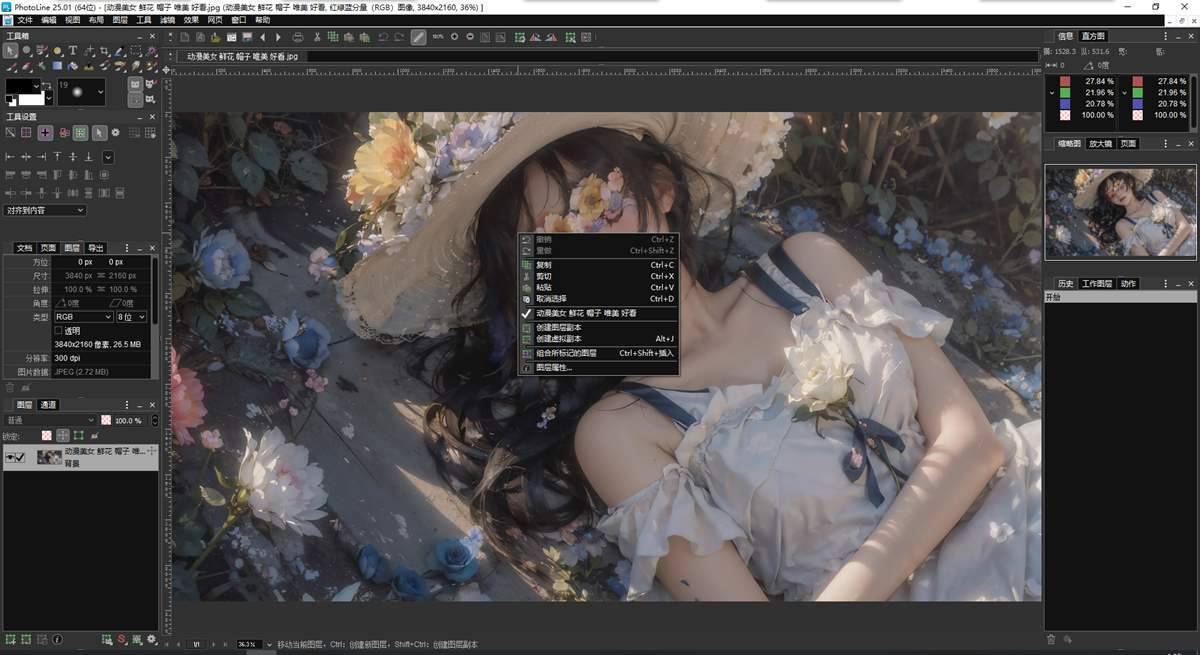 PhotoLine(矢量绘图软件)v25.01 中文绿色版 第1张