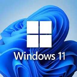 Win11 LTSC 2024(26200.7309) 小修精简版