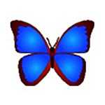 bkViewer v8.3b 绿色版(小巧精悍的数码照片浏览器)