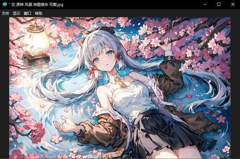 轻量级图片查看器 | LeafView v4.0.6 中文绿色便携版 第1张