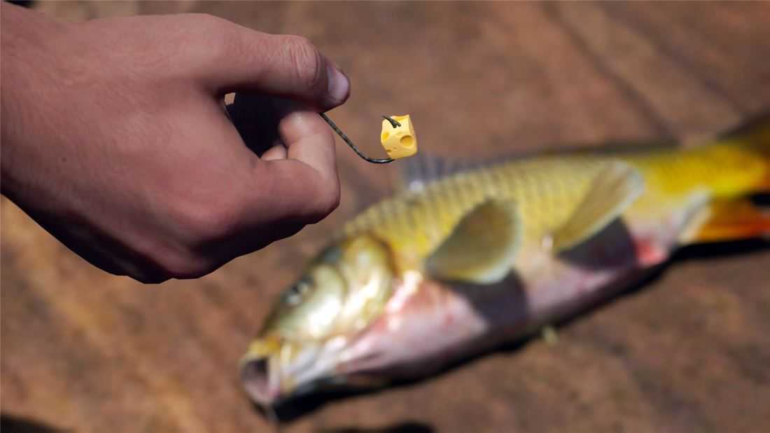 人渣 v1.1.0.2.99989 全DLC免安装绿色中文版 第5张